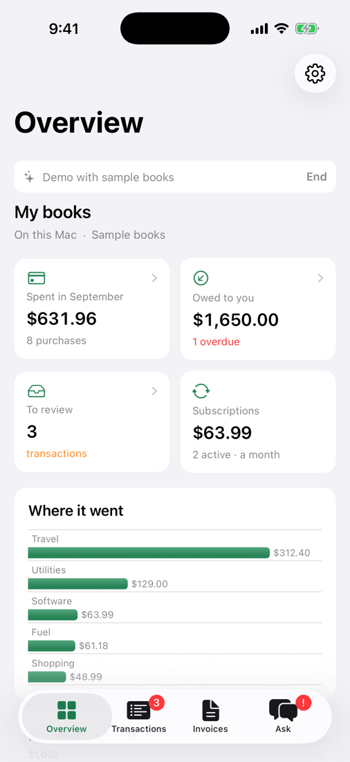 Saybooks on iPhone: spending this month, money owed, rows to review and subscriptions